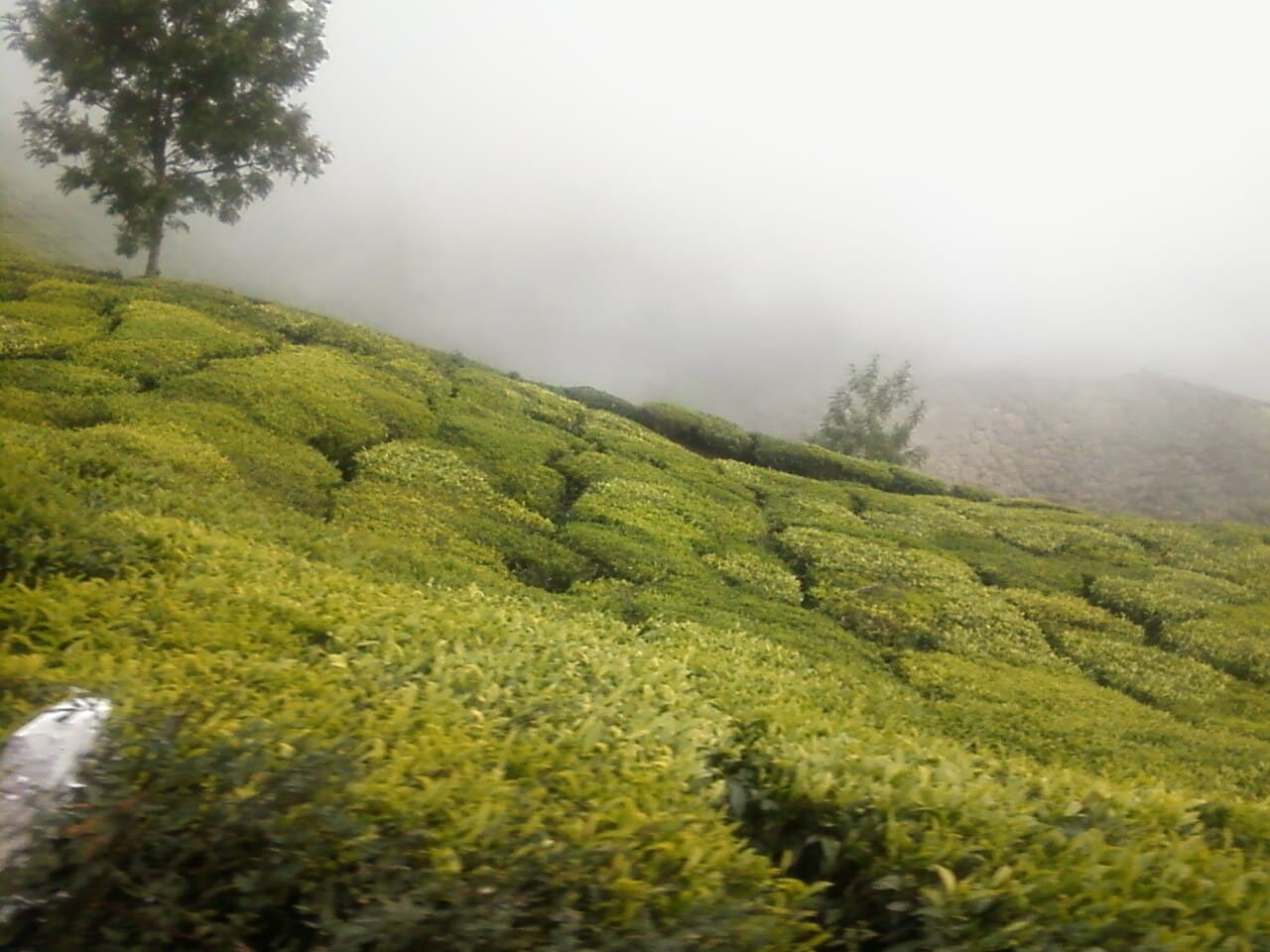 Munnar